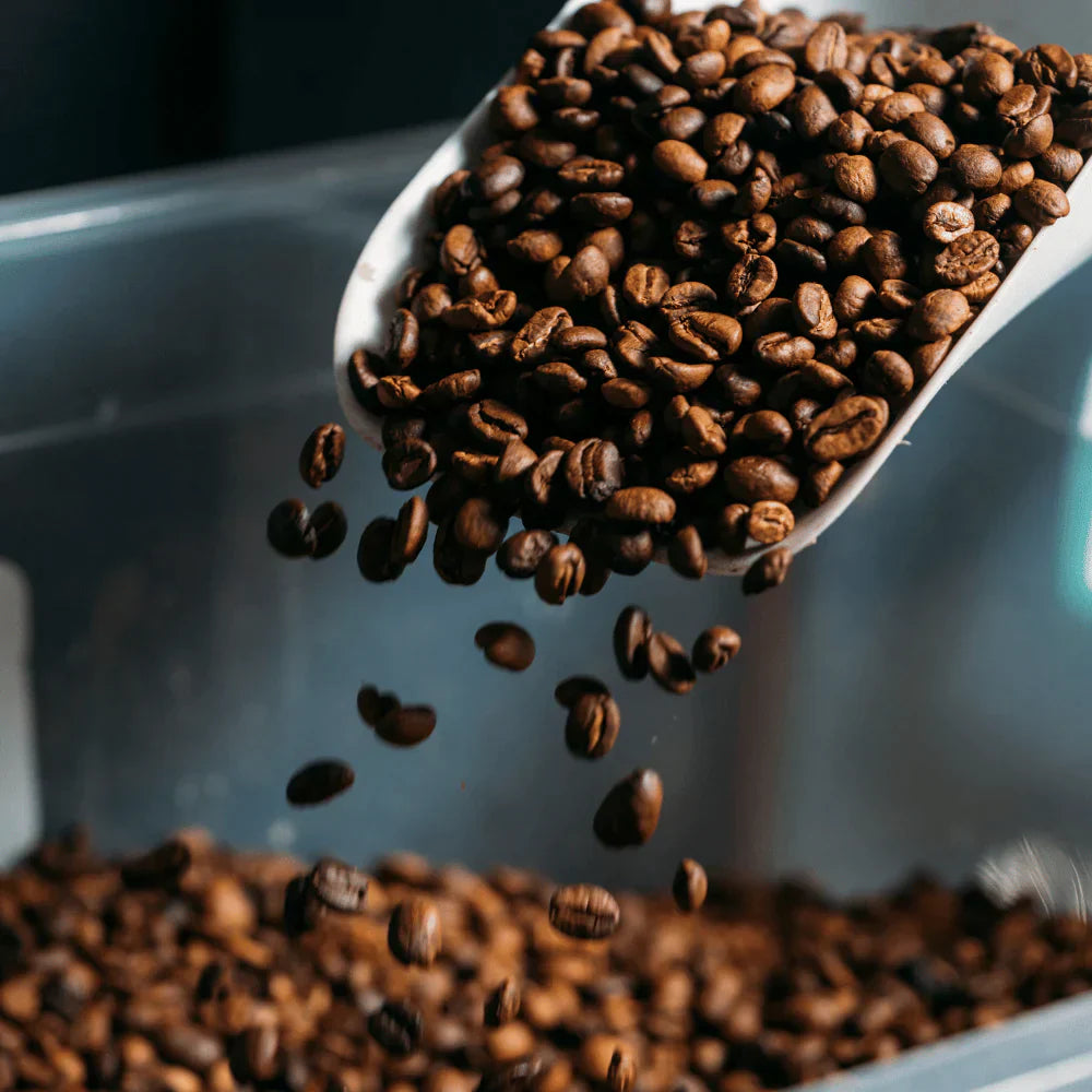 freshly roasted specialty coffee by spectrum coffee rosters