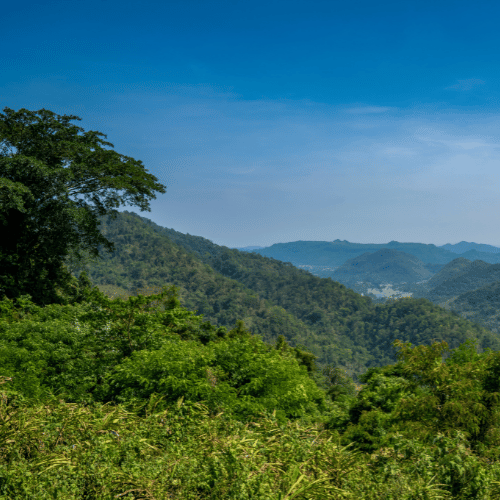 Indonesia, Sulawesi Bukit Marante