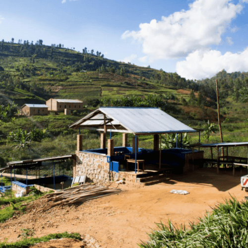 rwandan specialty coffee delivery