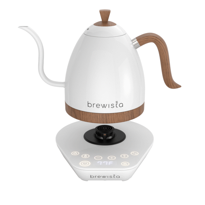 Brewista Artisan 1.0L Kettle - Pearl White