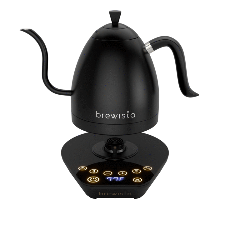 Brewista Artisan 1.0L Kettle - Black On Black