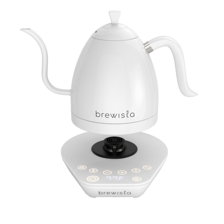 Brewista Artisan 1.0L Kettle - White On White