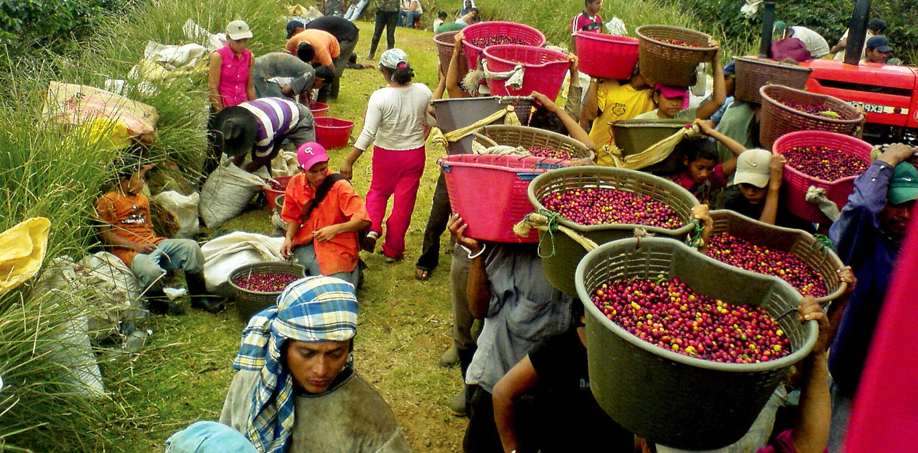 Costa Rican specialty coffee beans from high-altitude farms, highlighting clean profiles, innovative processing, and regional diversity.