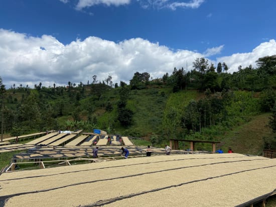 Rwanda, Abadatezuka - Gwiza Women Coffee